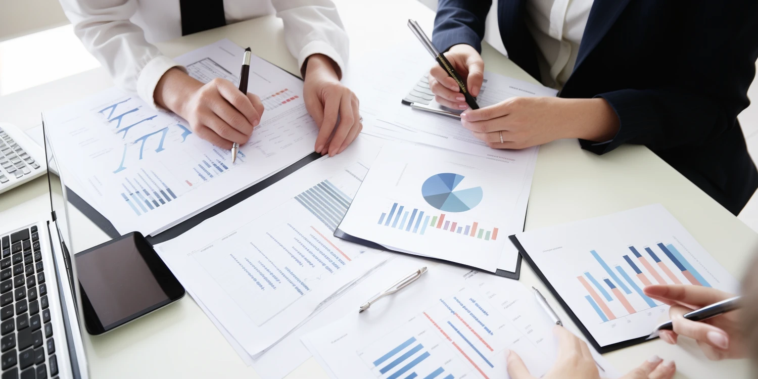 Księgowość spółki zoo online